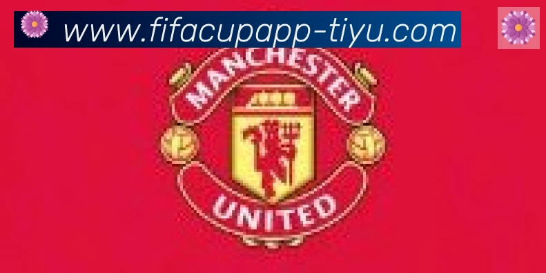 FIFA世界杯客户端下载合作伙伴